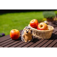hover_img