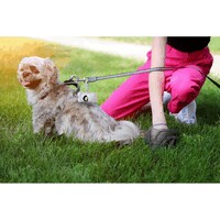 hover_img