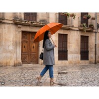 hover_img