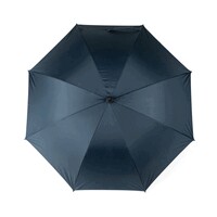 hover_img