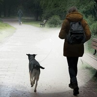 hover_img