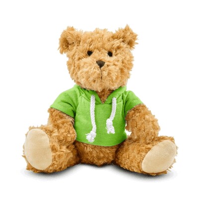 Teddybär mit Kapuze