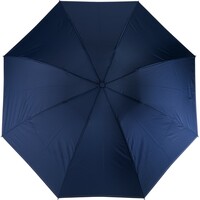 main_img
