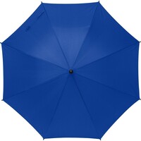 main_img