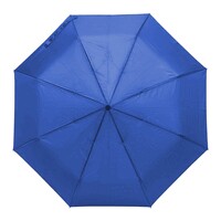 main_img