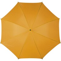 main_img
