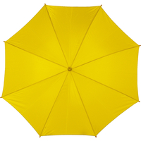 main_img