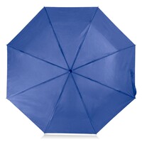 main_img