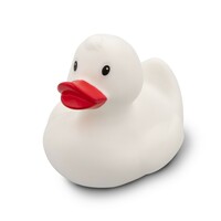 main_img