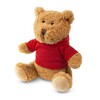 Plush teddy bear with a T-shirt | Camicero